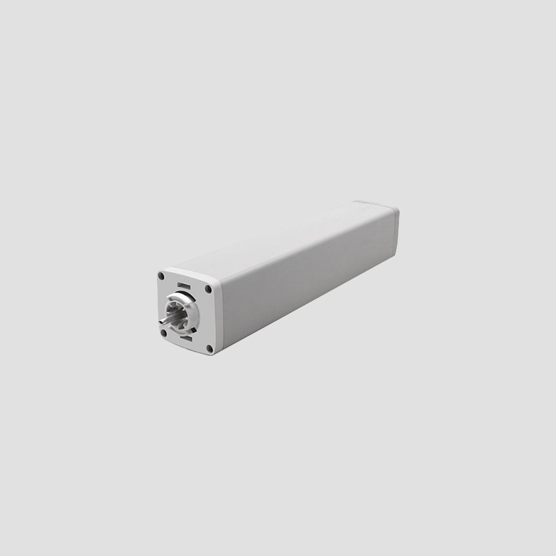 智能藍(lán)牙羅馬桿電機(jī)